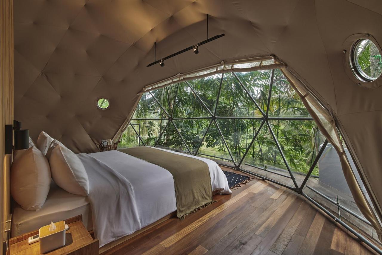 Lintang Luku Tent Resort Ijen, Banyuwangi Banyuwangi  Exterior foto